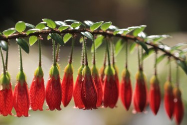 南京雨花台区1零用贷短借：轻松解决临时资金需求