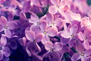 南京雨花台区1企业急用钱贷款攻略：快速融资解燃眉之急